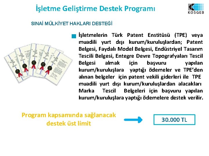 İşletme Geliştirme Destek Programı SINAİ MÜLKİYET HAKLARI DESTEĞİ İşletmelerin Türk Patent Enstitüsü (TPE) veya