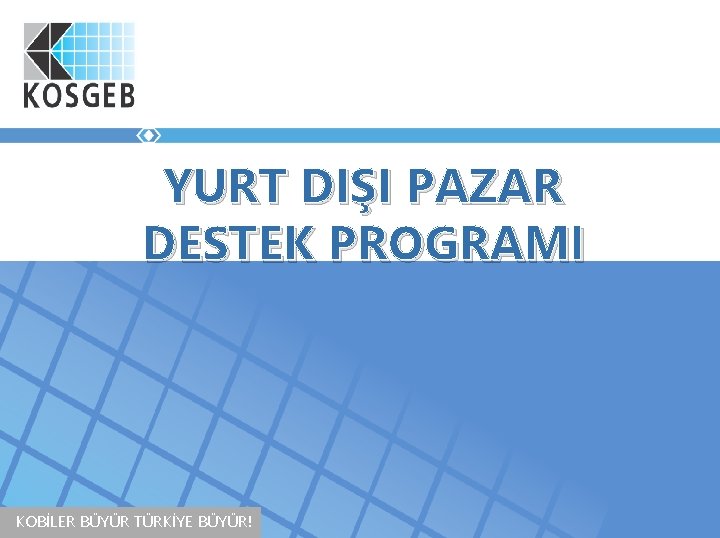 YURT DIŞI PAZAR DESTEK PROGRAMI KOBİLER BÜYÜR TÜRKİYE BÜYÜR! 