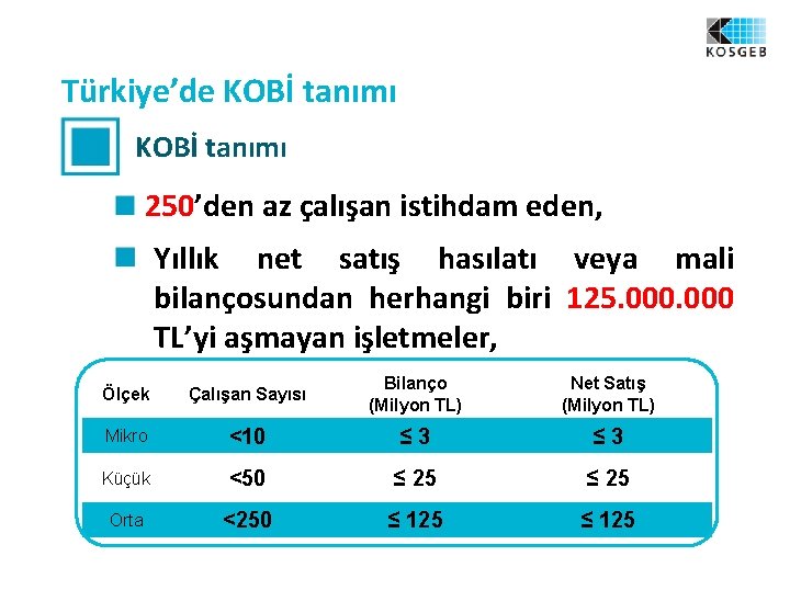 Türkiye’de KOBİ tanımı 250’den az çalışan istihdam eden, Yıllık net satış hasılatı veya mali