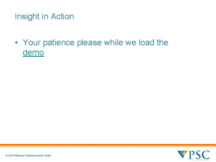 Insight in Action • Your patience please while we load the demo © 2010