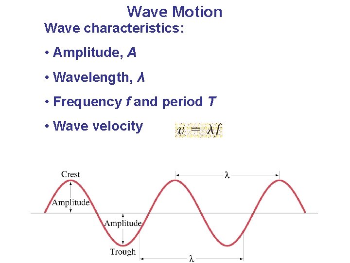 Wave Motion Wave characteristics: • Amplitude, A • Wavelength, λ • Frequency f and