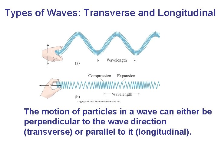 Types of Waves: Transverse and Longitudinal The motion of particles in a wave can