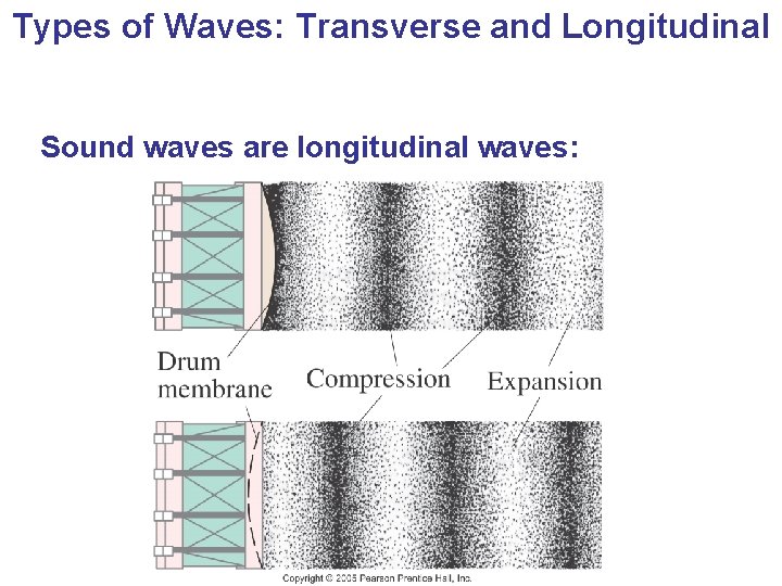 Types of Waves: Transverse and Longitudinal Sound waves are longitudinal waves: 