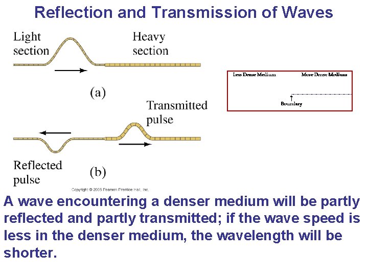 Reflection and Transmission of Waves A wave encountering a denser medium will be partly