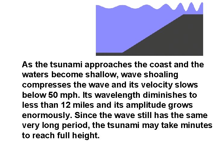 As the tsunami approaches the coast and the waters become shallow, wave shoaling compresses
