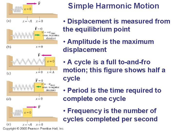 Simple Harmonic Motion • Displacement is measured from the equilibrium point • Amplitude is
