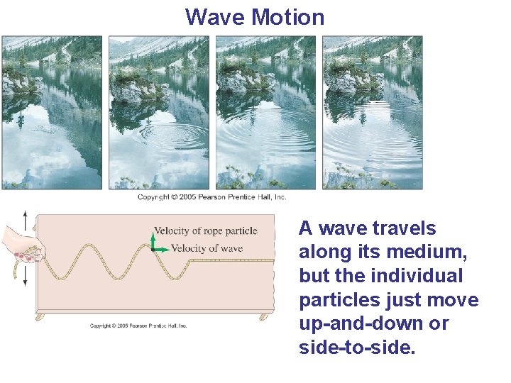 Wave Motion A wave travels along its medium, but the individual particles just move