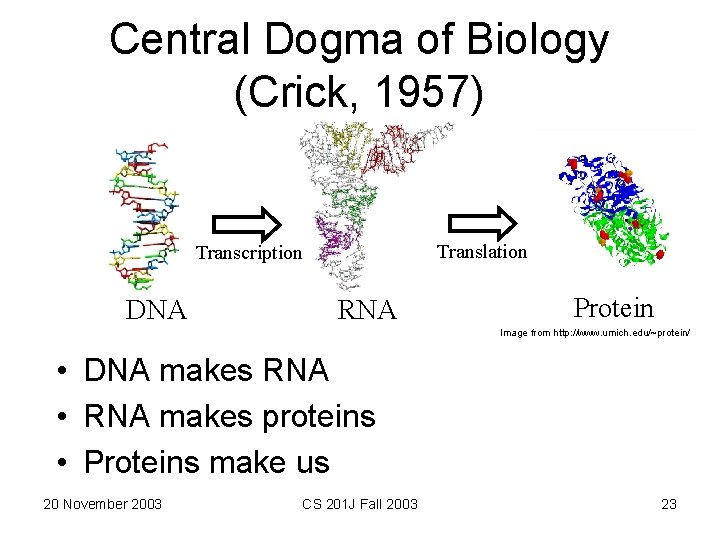 Central Dogma of Biology (Crick, 1957) Translation Transcription DNA RNA Protein Image from http: