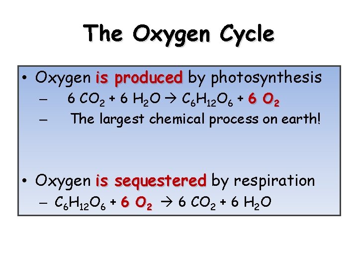 The Oxygen Cycle • Oxygen is produced by photosynthesis – – 6 CO 2