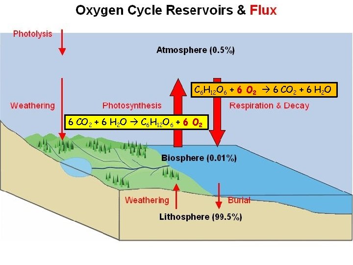 C 6 H 12 O 6 + 6 O 2 6 CO 2 +