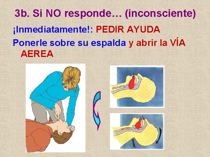 3 b. Si NO responde… (inconsciente) ¡Inmediatamente!: PEDIR AYUDA Ponerle sobre su espalda y