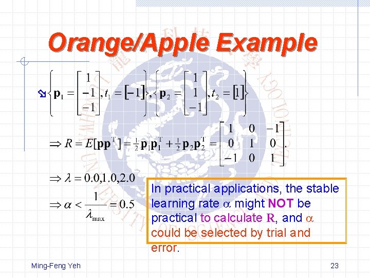 Orange/Apple Example In practical applications, the stable learning rate might NOT be practical to