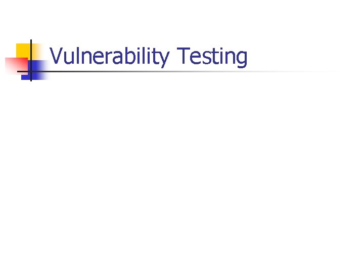 Vulnerability Testing 