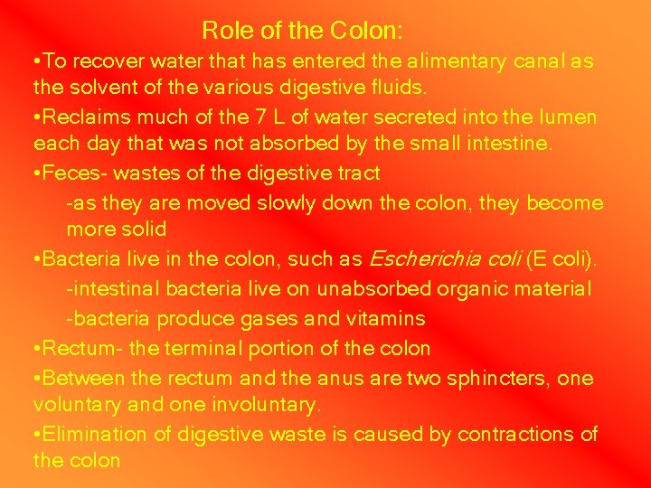 Role of the Colon: • To recover water that has entered the alimentary canal