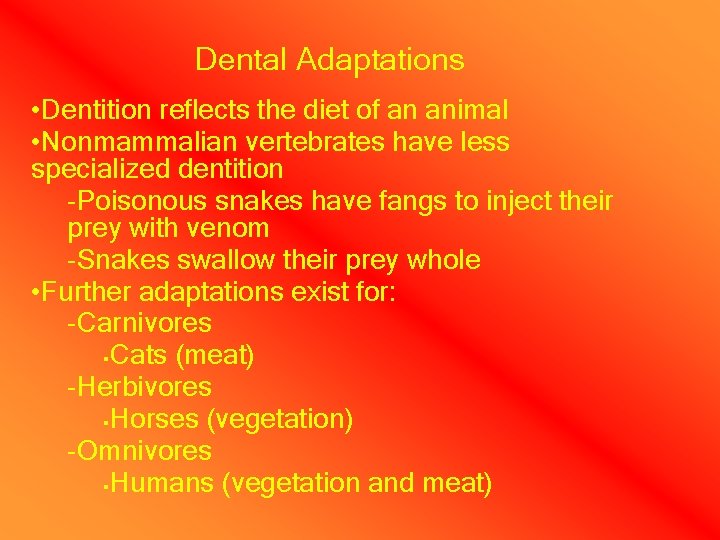 Dental Adaptations • Dentition reflects the diet of an animal • Nonmammalian vertebrates have