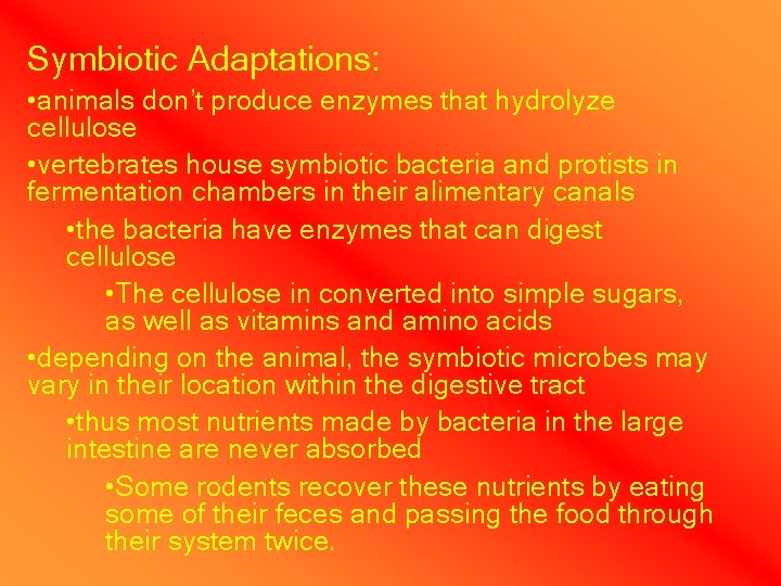 Symbiotic Adaptations: • animals don’t produce enzymes that hydrolyze cellulose • vertebrates house symbiotic