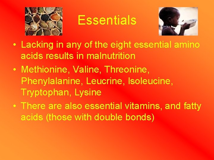 Essentials • Lacking in any of the eight essential amino acids results in malnutrition