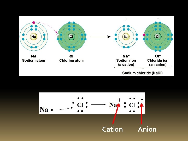 Cation Anion 