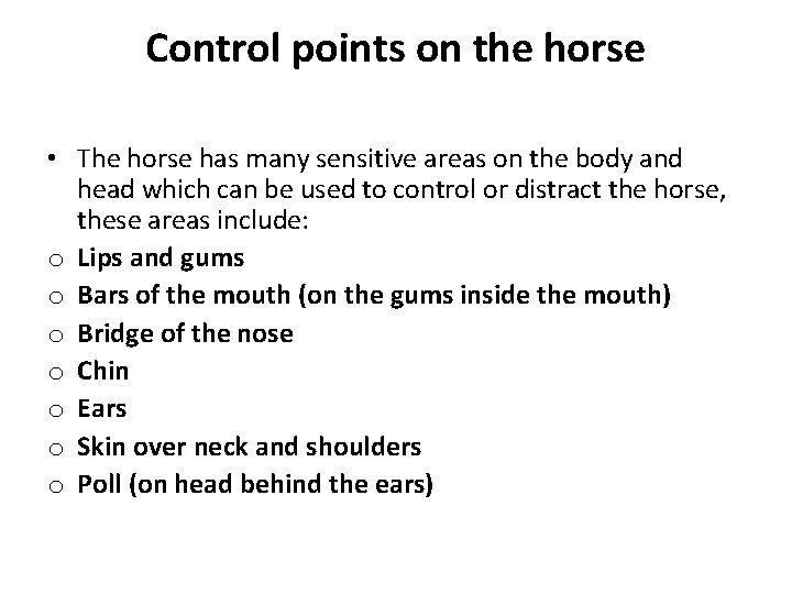 Control points on the horse • The horse has many sensitive areas on the