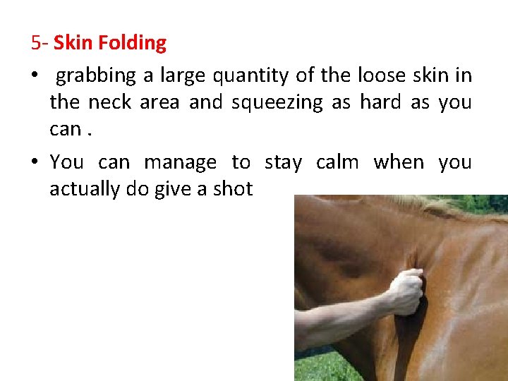 5 - Skin Folding • grabbing a large quantity of the loose skin in