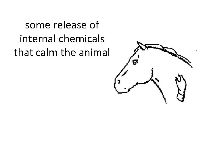 some release of internal chemicals that calm the animal 