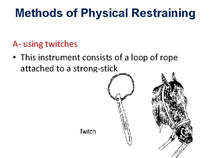 Methods of Physical Restraining A- using twitches • This instrument consists of a loop