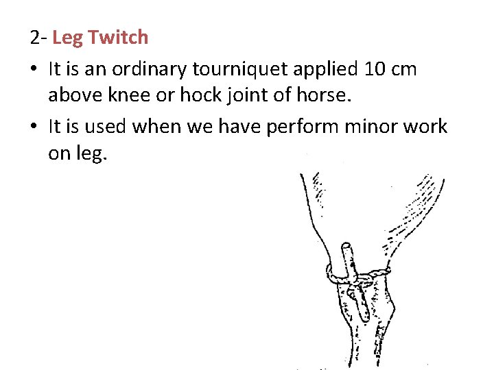 2 - Leg Twitch • It is an ordinary tourniquet applied 10 cm above