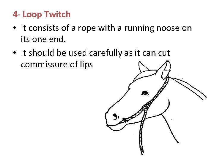 4 - Loop Twitch • It consists of a rope with a running noose