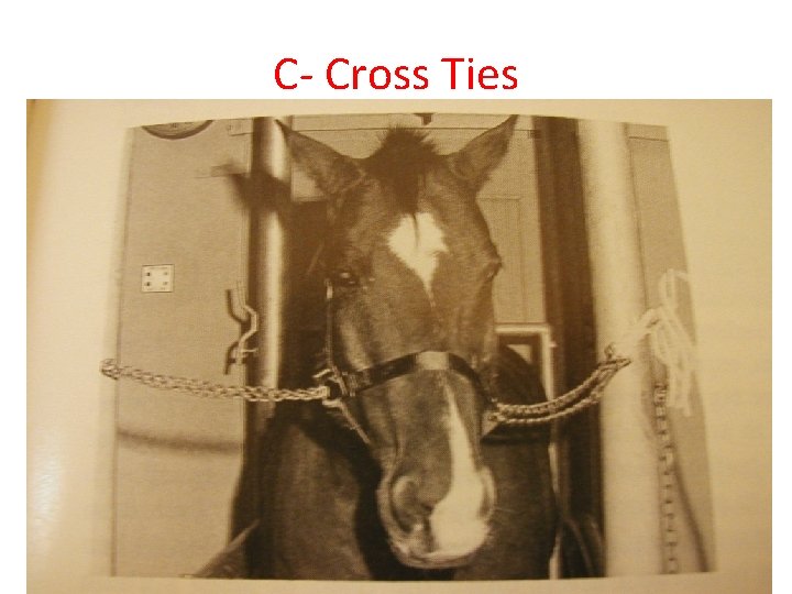 C- Cross Ties 