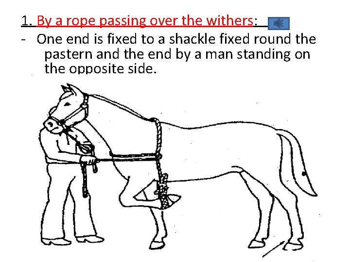 1. By a rope passing over the withers: - One end is fixed to