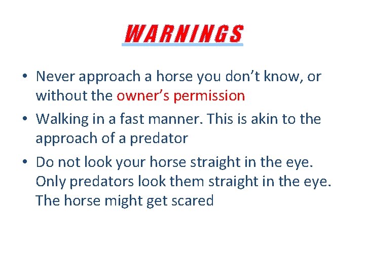 WARNINGS • Never approach a horse you don’t know, or without the owner’s permission