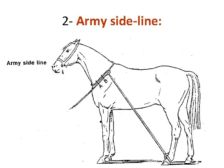 2 - Army side-line: 