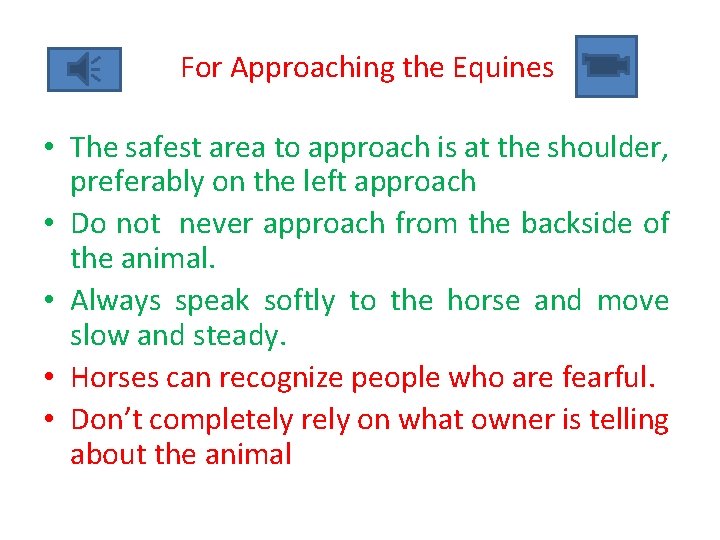 For Approaching the Equines • The safest area to approach is at the shoulder,