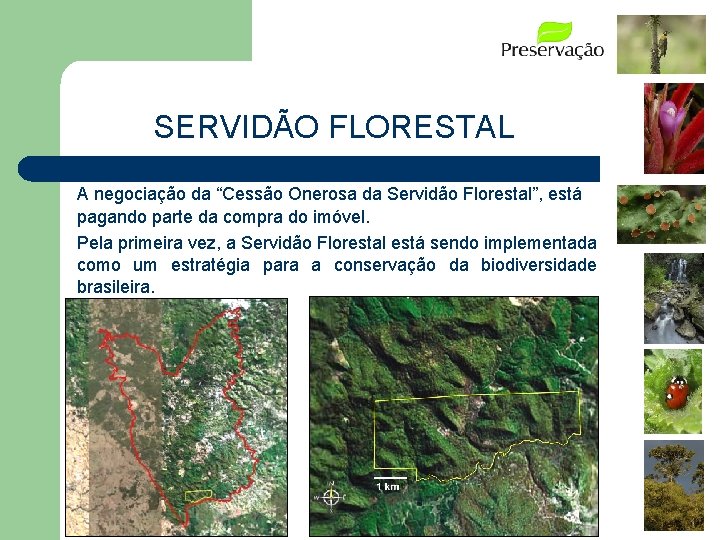 SERVIDÃO FLORESTAL A negociação da “Cessão Onerosa da Servidão Florestal”, está pagando parte da