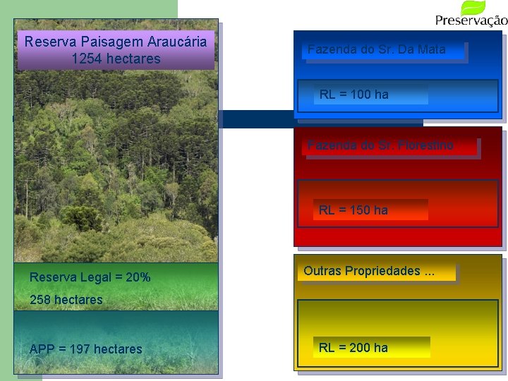 Reserva Paisagem Araucária 1254 hectares Fazenda do Sr. Da Mata RL = 100 ha