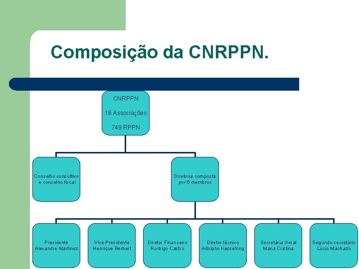 Composição da CNRPPN 16 Associações 749 RPPN Conselho consultivo e conselho fiscal Presidente Alexandre