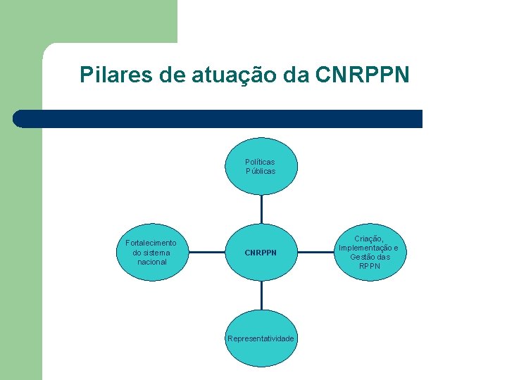 Pilares de atuação da CNRPPN Políticas Públicas Fortalecimento do sistema nacional CNRPPN Representatividade Criação,
