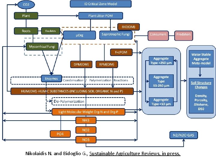 Nikolaidis N. and Bidoglio G. , Sustainable Agriculture Reviews, in press. 