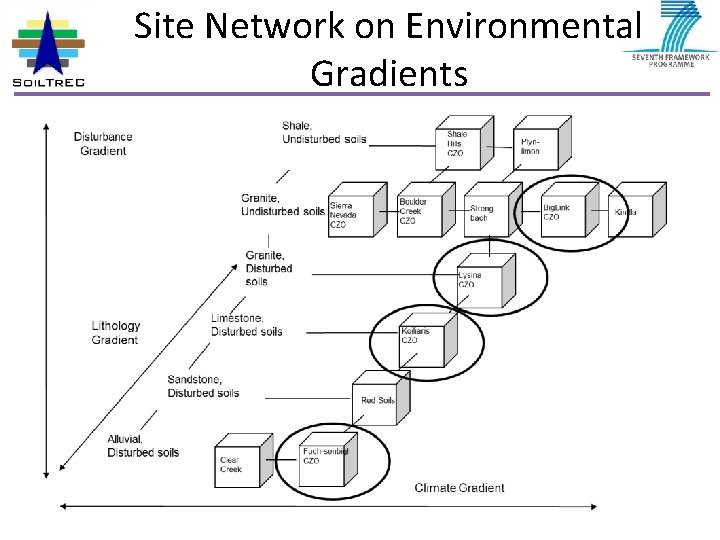 Site Network on Environmental Gradients 