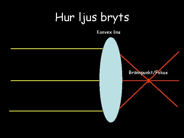 Hur ljus bryts Konvex lins Brännpunkt/Fokus 