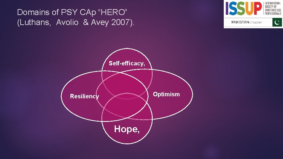 Domains of PSY CAp “HERO” (Luthans, Avolio & Avey 2007). Self-efficacy, Optimism Resiliency Hope,