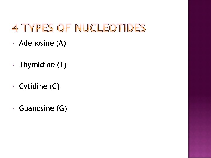  Adenosine (A) Thymidine (T) Cytidine (C) Guanosine (G) 