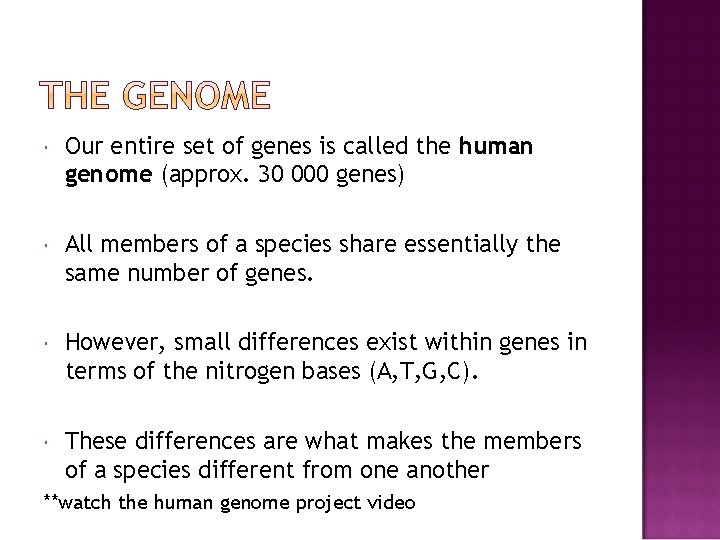  Our entire set of genes is called the human genome (approx. 30 000
