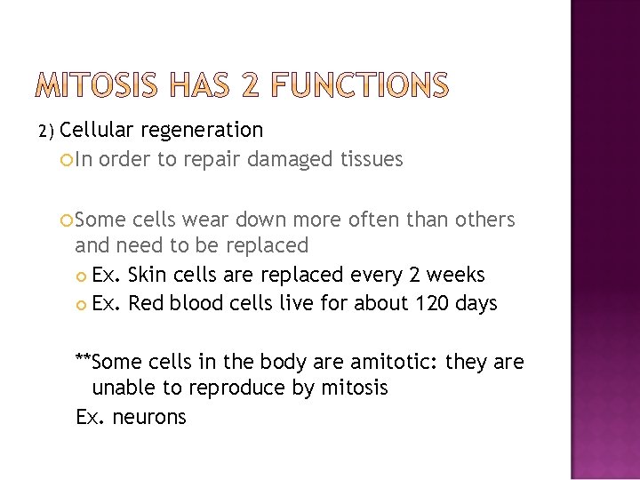 2) Cellular regeneration In order to repair damaged tissues Some cells wear down more
