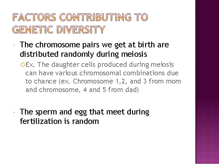  The chromosome pairs we get at birth are distributed randomly during meiosis Ex.