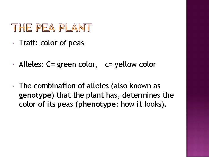  Trait: color of peas Alleles: C= green color, c= yellow color The combination