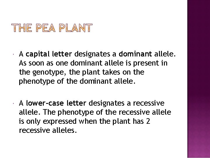  A capital letter designates a dominant allele. As soon as one dominant allele