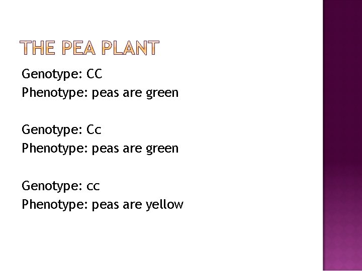 Genotype: CC Phenotype: peas are green Genotype: Cc Phenotype: peas are green Genotype: cc