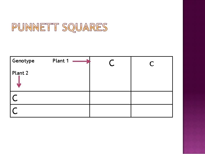 Genotype Plant 2 C C Plant 1 C c 