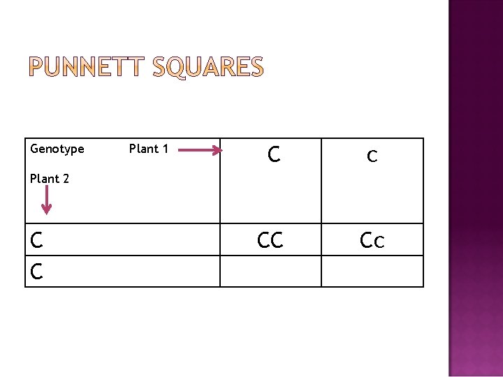 Genotype Plant 1 C c CC Cc Plant 2 C C 